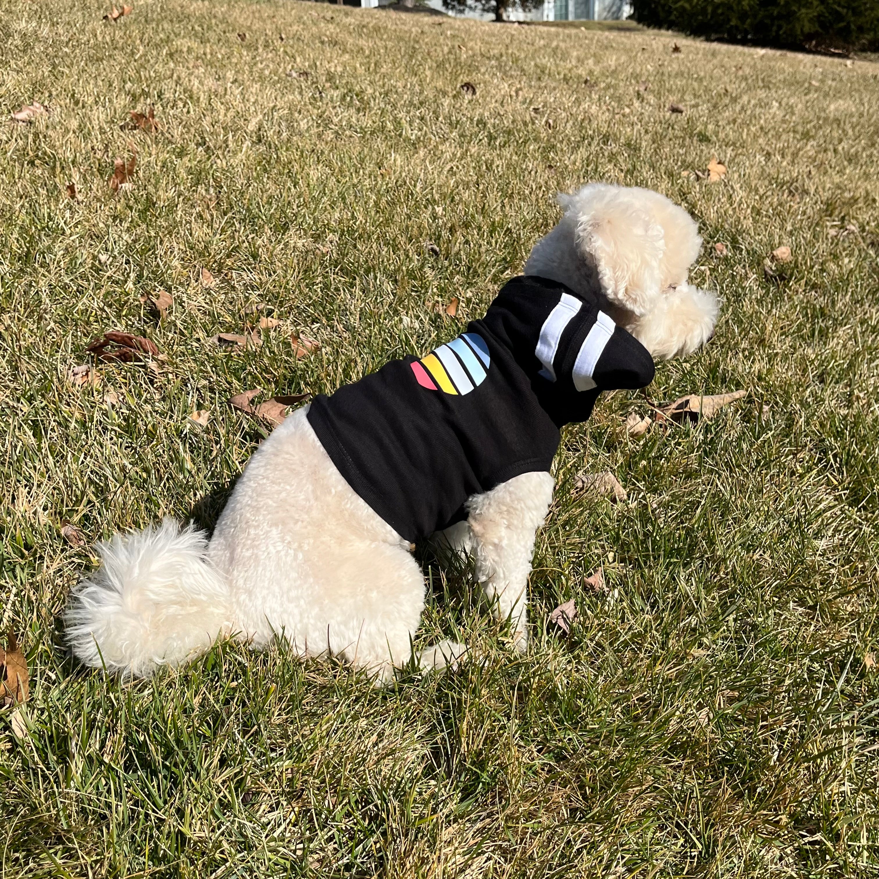 Dog GOS hoodie