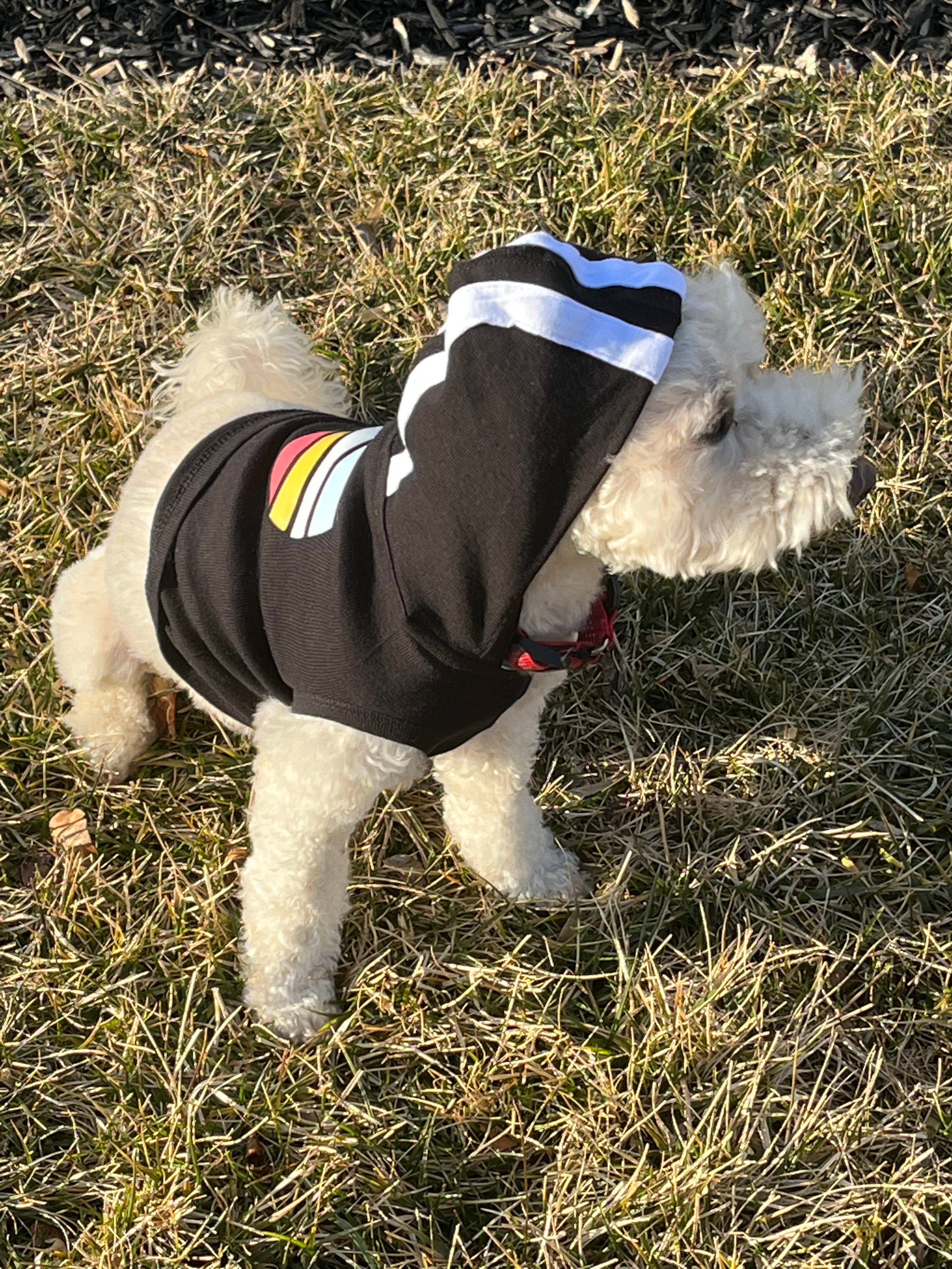 Dog GOS hoodie